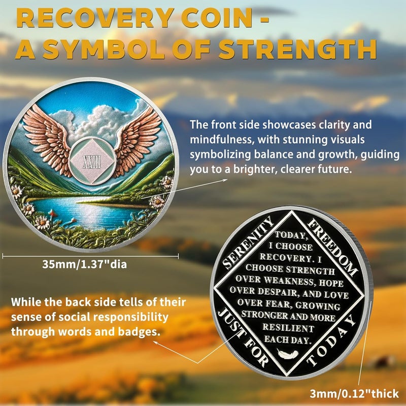 deDecoml NA Sobriety Coin - NA Medallions with Wings and Scenic Sobriety Chips NA Coins - Ideal Narcotics Anonymous Gifts for Men ＆ Women Celebrating Recovery and Living Clean (23 Year) - Image 2